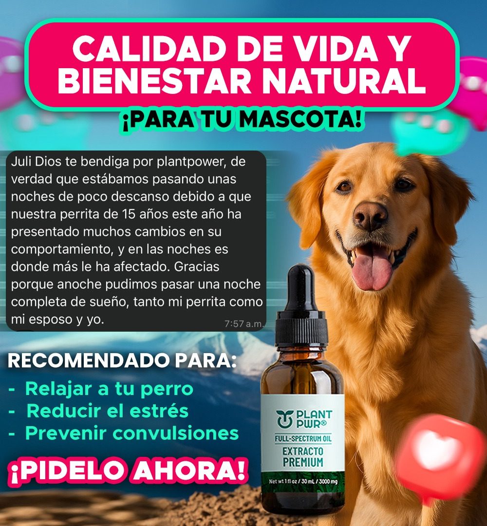 PHOTO-2025-06-27-12-41-00 2