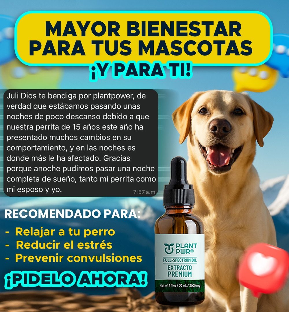 PHOTO-2025-06-27-12-41-01 3