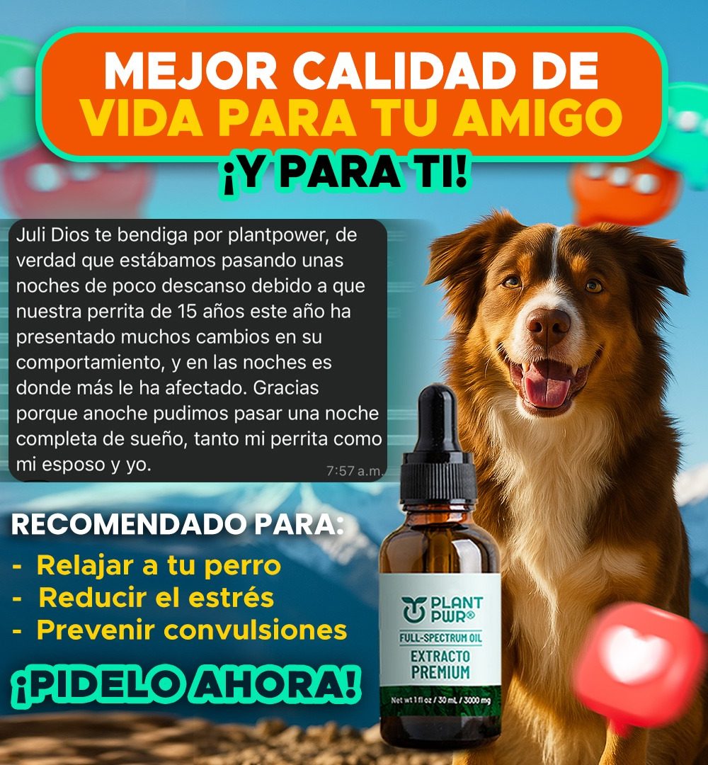 PHOTO-2025-06-27-12-41-01 4